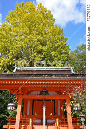 ≪Kyoto Autumn Kitano Tenmangu Shrine≫ Kyoto City, Kyoto Prefecture ≪Kyoto Autumn Kitano Tenmangu Shrine≫ Kyoto City, Kyoto Prefecture 71779582