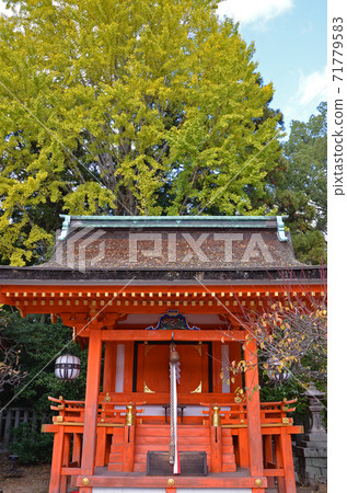 ≪Kyoto Autumn Kitano Tenmangu Shrine≫ Kyoto City, Kyoto Prefecture 71779583