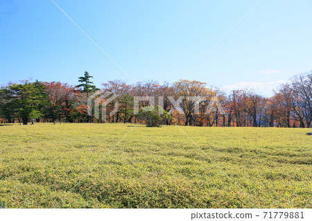 Ushiishigahara Ushiishigahara 71779881