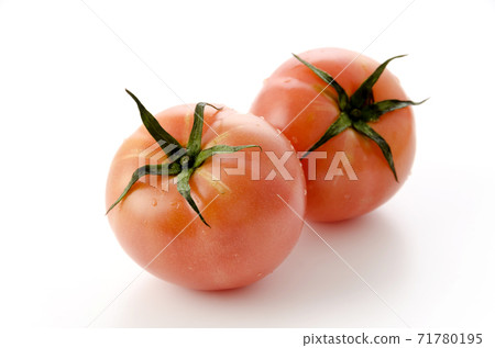 Tomato Tomato 71780195