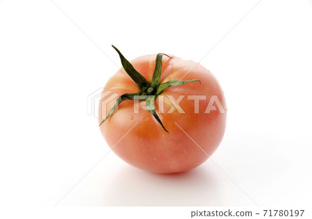 Tomato Tomato 71780197