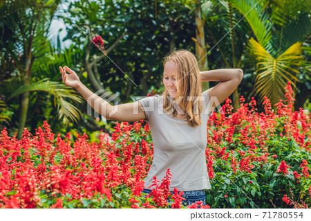 Young woman on the background of red salvia splendens flowers blooming in the garden Young woman on the background of red salvia splendens flowers blooming in the garden 71780554