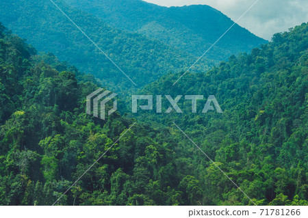 Fantastic landscape of Dalat Mountains, Viet Nam, fresh atmosphere, villa among forest, impression shape of hill and mountain from high view, wonderful vacation for ecotourism in spring Fantastic landscape of Dalat Mountains, Viet Nam, fresh atmosphere, villa among forest, impression shape of hill and mountain from high view, wonderful vacation for ecotourism in spring 71781266