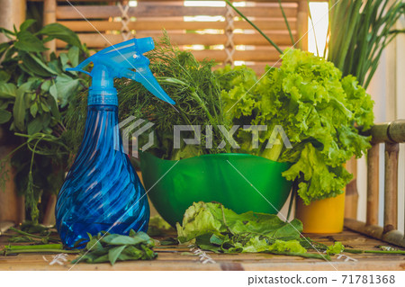 A variety of fresh organic herbs on an old wooden background A variety of fresh organic herbs on an old wooden background 71781368
