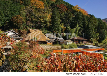 和歌山縣伊東縣桂木市志吾市的串燒之裡 和歌山縣伊東縣桂木市志吾市的串燒之裡 71781463