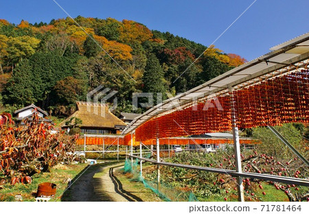 和歌山縣伊東縣桂木市志吾市的串燒之裡 和歌山縣伊東縣桂木市志吾市的串燒之裡 71781464