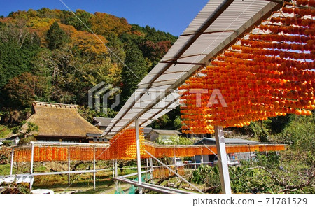 Kushikaki no Sato, Katsuragi Town, Ito District, Wakayama Prefecture 71781529