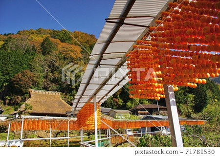 Kushikaki no Sato, Katsuragi Town, Ito District, Wakayama Prefecture 71781530