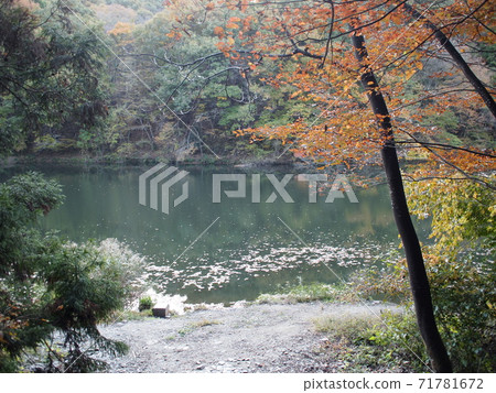 Autumn on the lake 71781672