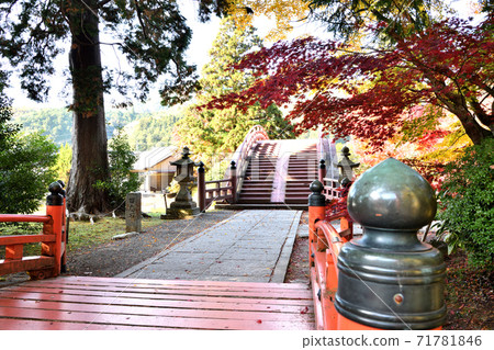 Nyuto Hibashi神社,太古橋的秋葉 Nyuto Hibashi神社,太古橋的秋葉 71781846