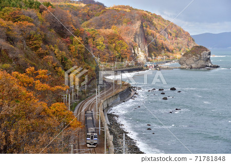 火車在紅葉張烏蘇海岸上運行 71781848