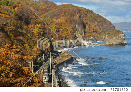 火車在紅葉張烏蘇海岸上運行 71781850