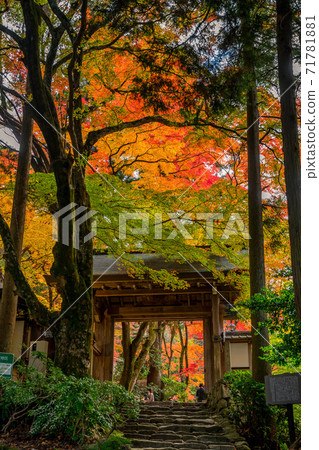 秋天的顏色有馬溫泉，瑞鳳寺公園 71781881