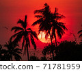 The sun goes down behind the trees 71781959