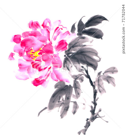 Peony 71782044