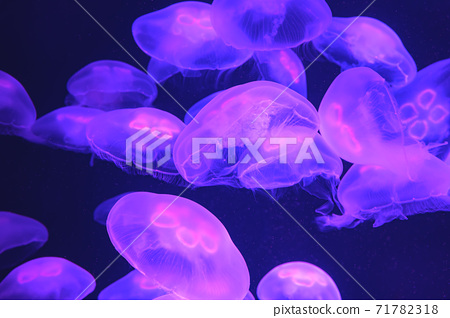 underwater neon lights