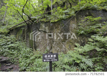 秋葉谷的柱狀部分(北海道,層雲峽) 秋葉谷的柱狀部分(北海道,層雲峽) 71782501