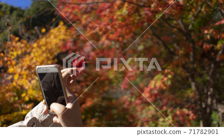 Higashiyama Zoo and Botanical Garden Landscape Animals Higashiyama Zoo and Botanical Garden Landscape Animals 71782901