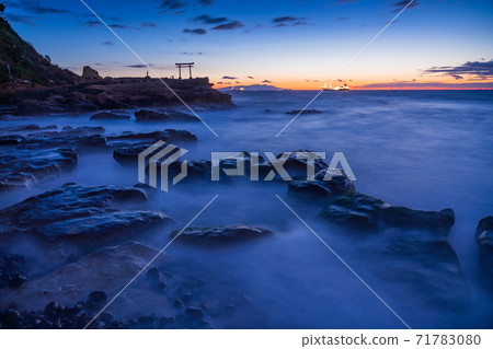 (Shizuoka Prefecture) The oldest Shirahama shrine in Izu, the sea torii, sunrise (Shizuoka Prefecture) The oldest Shirahama shrine in Izu, the sea torii, sunrise 71783080