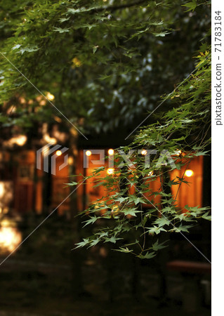 室內淺綠色楓木 71783184