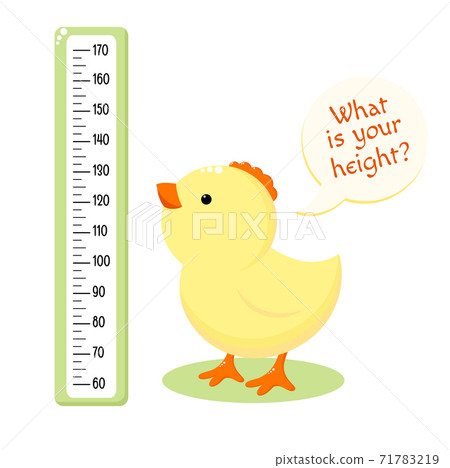 Height chart with cute baby chicken 71783219