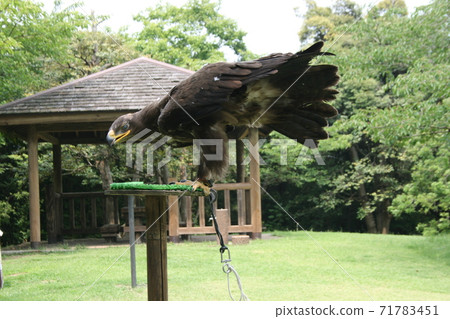 松江公園 松江公園 71783451