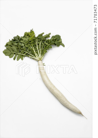 Nerima radish _01 Nerima radish _01 71783473