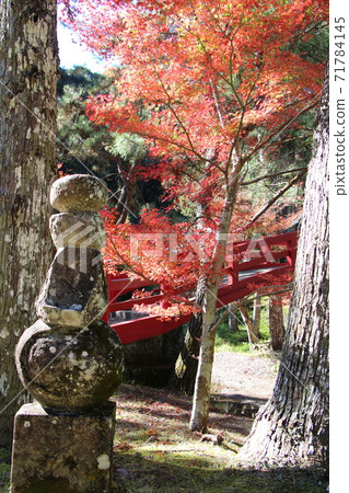 Autumn leaves taken at the Daitoin Autumn Leaves Festival 71784145