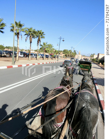 Horse-drawn carriage for sightseeing in Marrakech, Morocco Horse-drawn carriage for sightseeing in Marrakech, Morocco 71784297