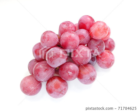 Grape Grape Queen Nina 71784625