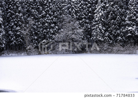 Nagano Prefecture Snow Chikuma Plateau Nagano Prefecture Snow Chikuma Plateau 71784833