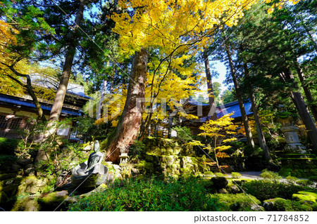 Autumn leaves next to the common gate of Eiheiji Temple Autumn leaves next to the common gate of Eiheiji Temple 71784852