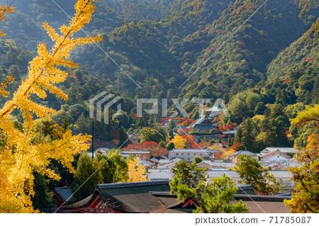 世界遺產宮島,大正的紅葉 世界遺產宮島,大正的紅葉 71785087