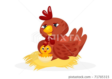 Cute chicken family character on white background Cute chicken family character on white background 71785315