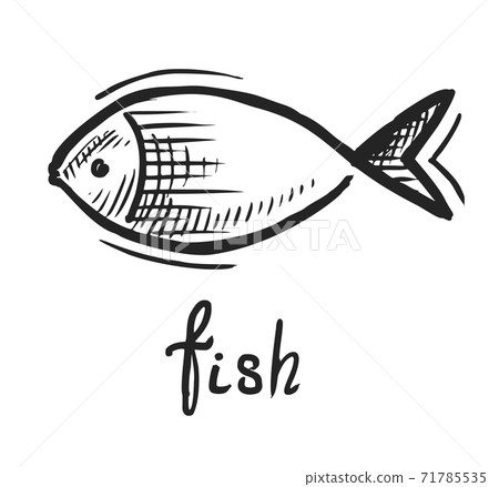 Doodle fish logo hand drawn art style icon 71785535