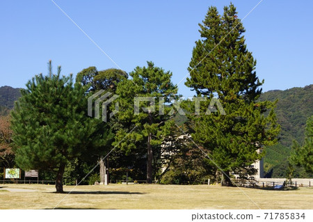 山口縣山口市龜山公園的風景 71785834
