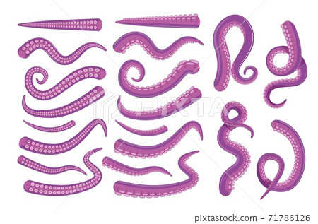 Octopus spiral, curled, straight tentacle set 71786126