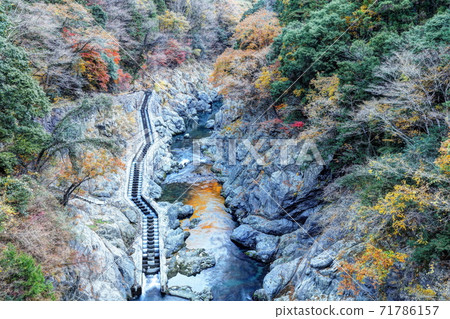 Fall in the Hatono Nodo Valley Fall in the Hatono Nodo Valley 71786157