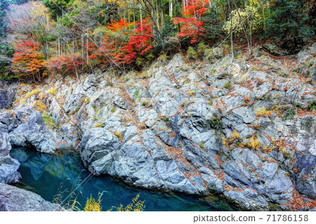 落入Hatono Nodo山谷 71786158