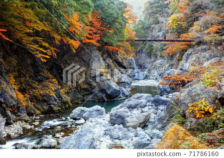 落入Hatono Nodo山谷 落入Hatono Nodo山谷 71786160