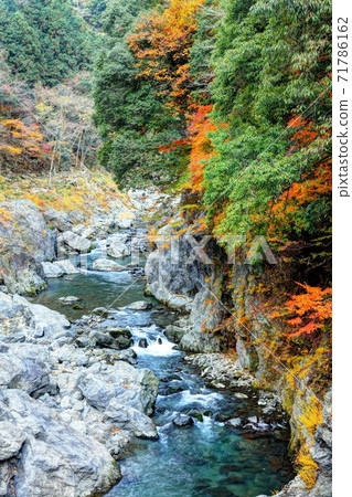 落入Hatono Nodo山谷 71786162