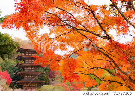 山口市留守寺五層寶塔和秋葉 山口市留守寺五層寶塔和秋葉 71787100