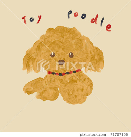 嬰兒玩具貴賓犬 71787106