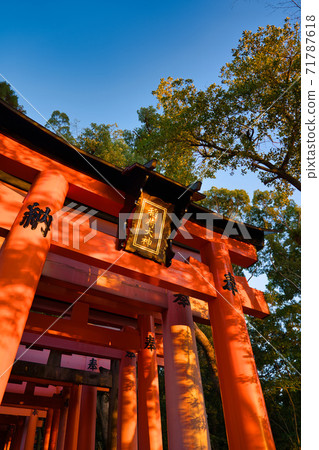 伏見Inari Taisha 伏見Inari Taisha 71787618