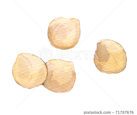 水彩插圖食物堅果 水彩插圖食物堅果 71787676