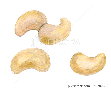 水彩插圖食物堅果 71787680