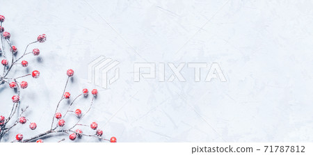 Christmas background of snow-covered branches with berries. 71787812