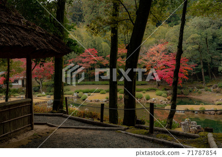 Autumn leaves in Jyoei-ji Temple, Yamaguchi City 71787854