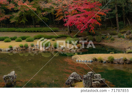 Autumn leaves in Jyoei-ji Temple, Yamaguchi City 71787855