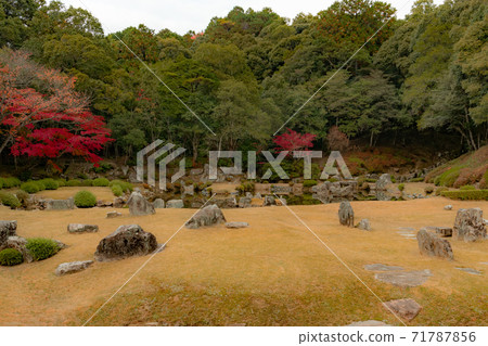 Autumn leaves in Jyoei-ji Temple, Yamaguchi City 71787856